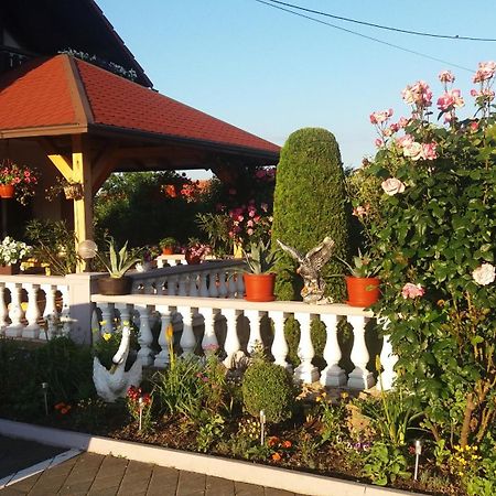 Guesthouse Tomas Catrnja Экстерьер фото