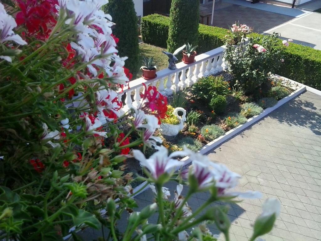 Guesthouse Tomas Catrnja Экстерьер фото