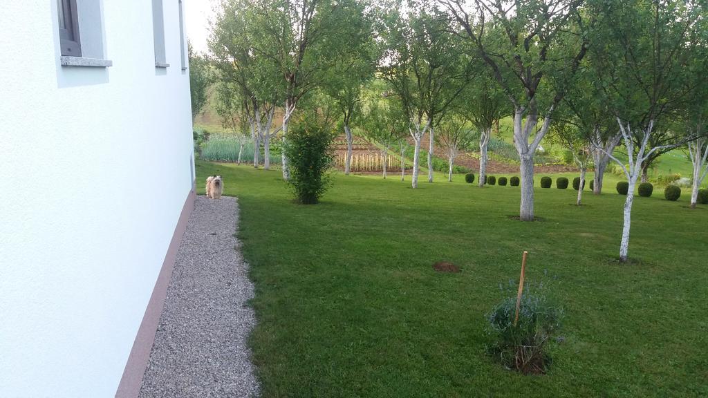 Guesthouse Tomas Catrnja Экстерьер фото